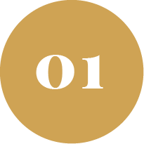 section 01
